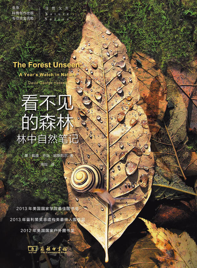 中文